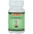 Baidyanath Jhansi Pathreena Tablets Hot on Sale