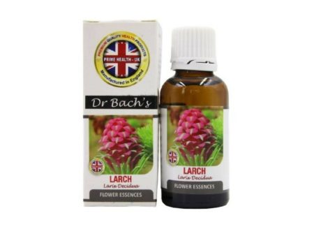 Dr. Bach s Larch (Pure Essence) Bach Flower Cheap