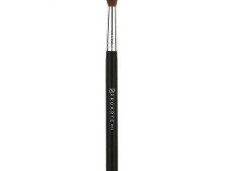 Proarte All over Concealer Brush PF-13 Fashion