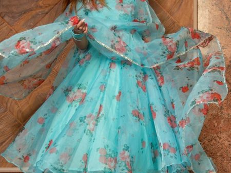 Pomcha Jaipur Blue And Red Floral Organza Anarkali Set Hot on Sale