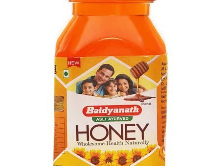 Baidyanath Jhansi (Madhu) Honey Fashion