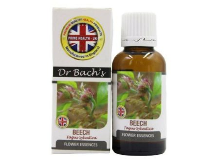 Dr. Bach s Beech (Pure Essence) Bach Flower For Sale