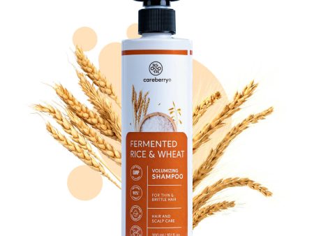 Careberry Fermented Rice Water & Wheat Volumizing Shampoo for Thin and Brittle Hair Online Sale